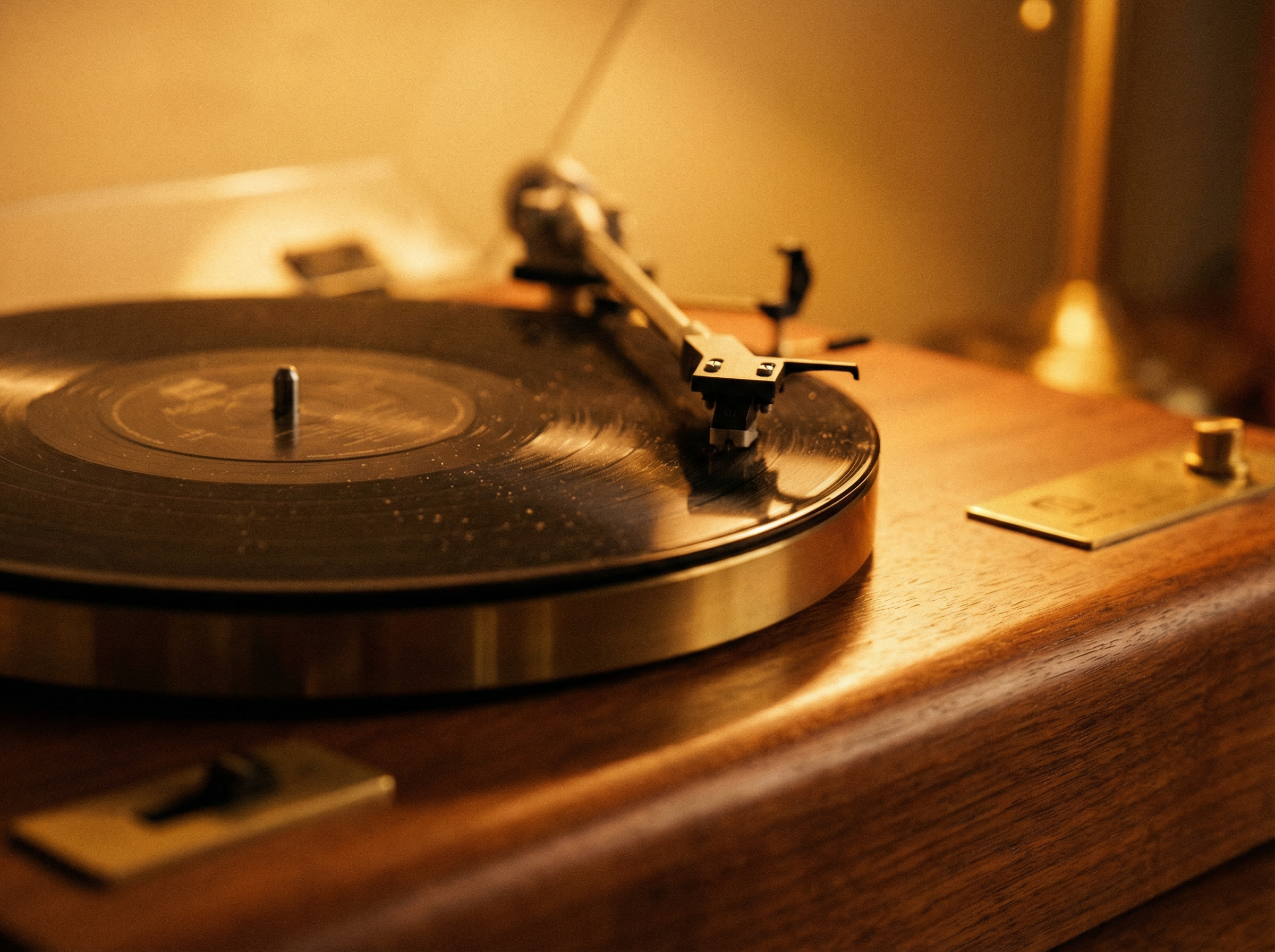 c7yule - 黑胶唱片特写